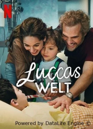 Свет Лукки 2025