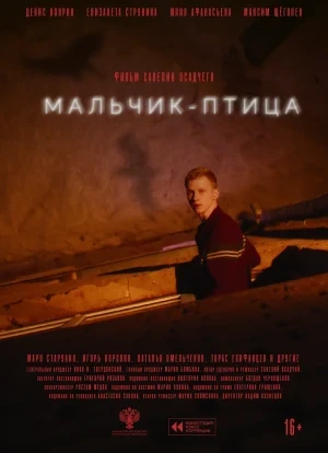 Мальчик-птица